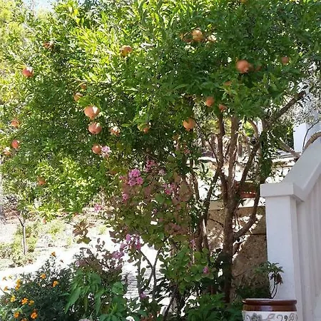 Guest house As 3*